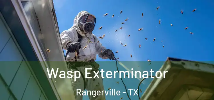 Wasp Exterminator Rangerville - TX