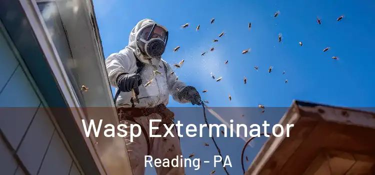  Wasp Exterminator Reading - PA