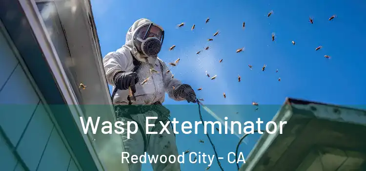 Wasp Exterminator Redwood City - CA