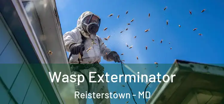  Wasp Exterminator Reisterstown - MD