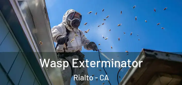 Wasp Exterminator Rialto - CA