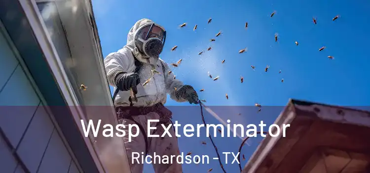 Wasp Exterminator Richardson - TX