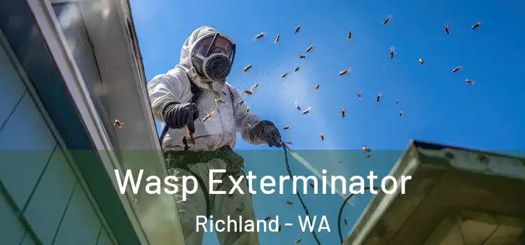  Wasp Exterminator Richland - WA