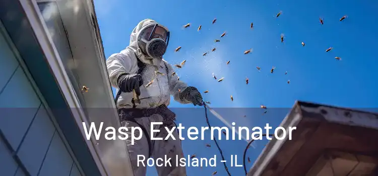  Wasp Exterminator Rock Island - IL