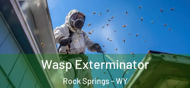 Wasp Exterminator Rock Springs - WY