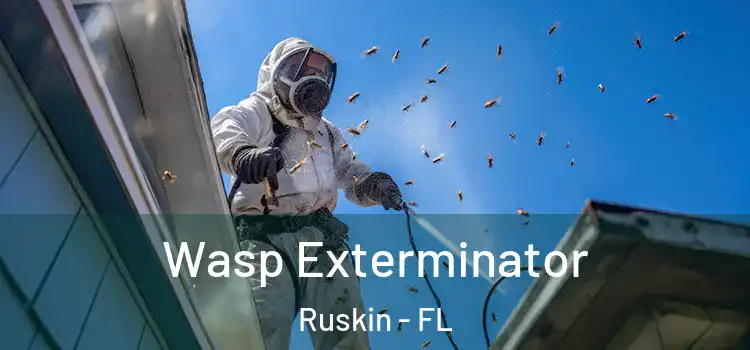  Wasp Exterminator Ruskin - FL