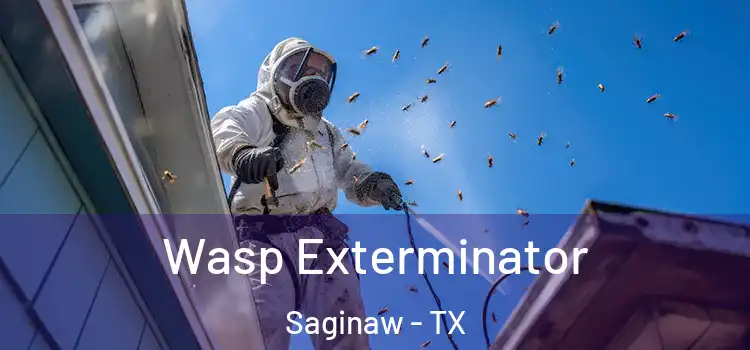 Wasp Exterminator Saginaw - TX