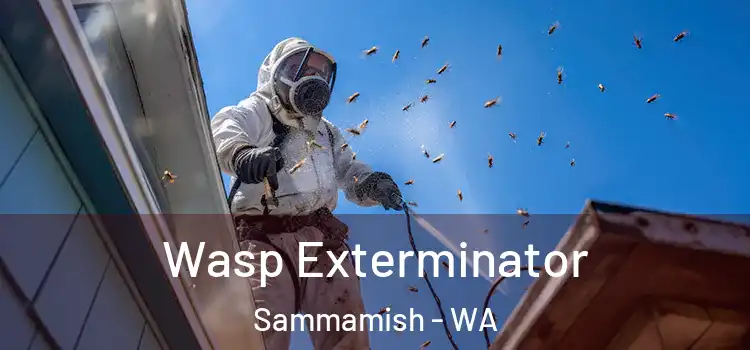  Wasp Exterminator Sammamish - WA