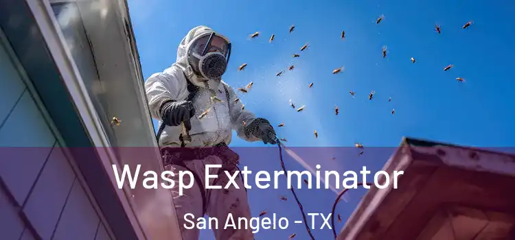 Wasp Exterminator San Angelo - TX