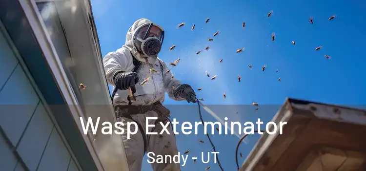 Wasp Exterminator Sandy - UT