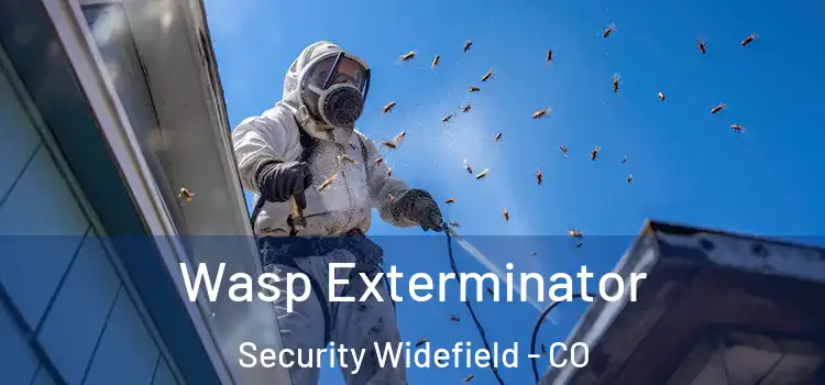  Wasp Exterminator Security Widefield - CO