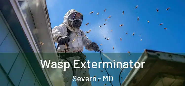  Wasp Exterminator Severn - MD