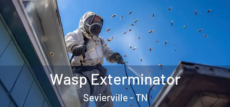  Wasp Exterminator Sevierville - TN