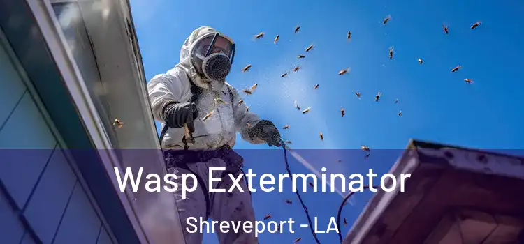 Wasp Exterminator Shreveport - LA