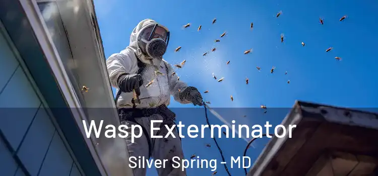  Wasp Exterminator Silver Spring - MD
