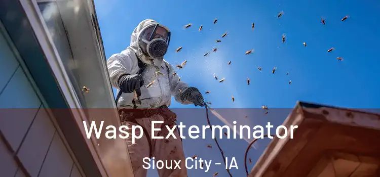 Wasp Exterminator Sioux City - IA