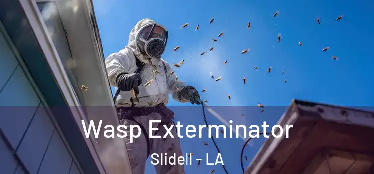  Wasp Exterminator Slidell - LA