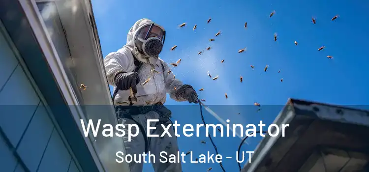  Wasp Exterminator South Salt Lake - UT
