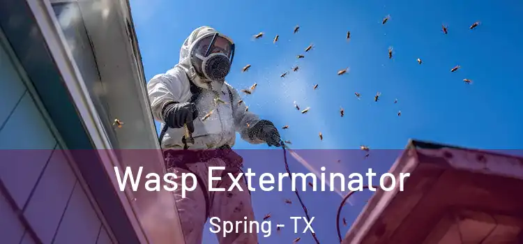 Wasp Exterminator Spring - TX