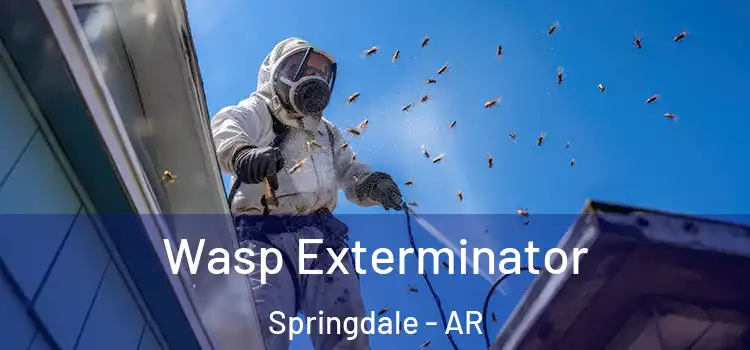  Wasp Exterminator Springdale - AR