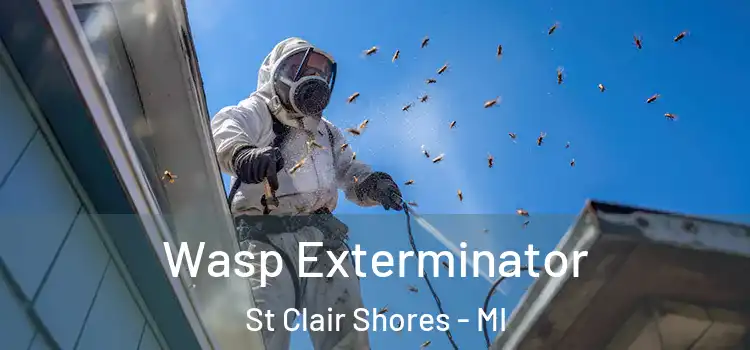 Wasp Exterminator St Clair Shores - MI