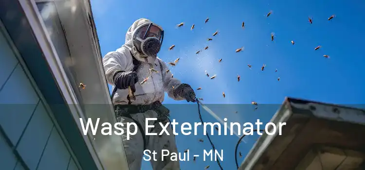  Wasp Exterminator St Paul - MN