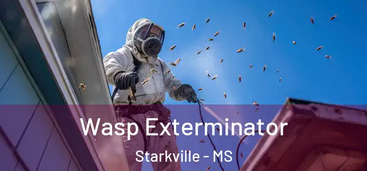  Wasp Exterminator Starkville - MS