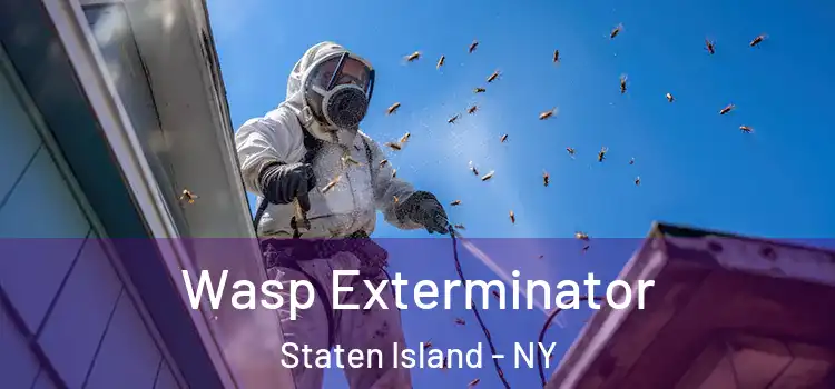  Wasp Exterminator Staten Island - NY