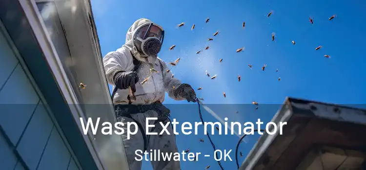 Wasp Exterminator Stillwater - OK