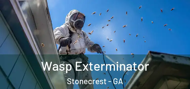  Wasp Exterminator Stonecrest - GA