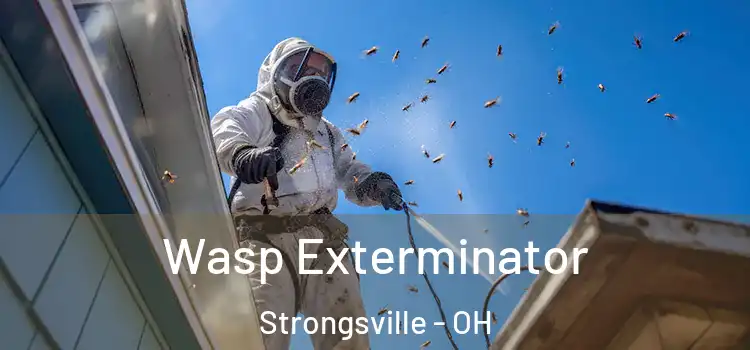  Wasp Exterminator Strongsville - OH