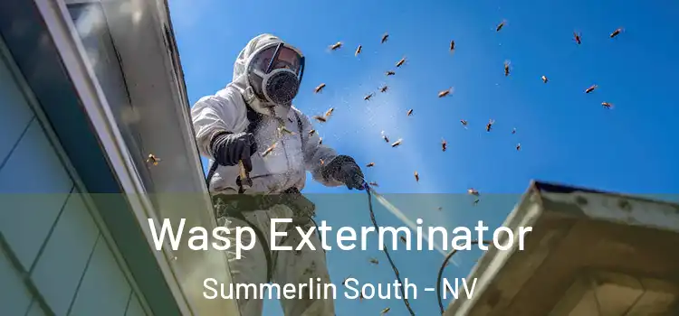  Wasp Exterminator Summerlin South - NV