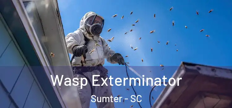  Wasp Exterminator Sumter - SC