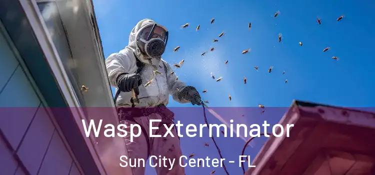  Wasp Exterminator Sun City Center - FL