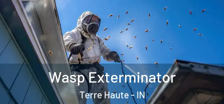  Wasp Exterminator Terre Haute - IN