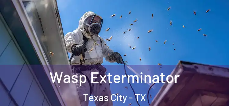 Wasp Exterminator Texas City - TX