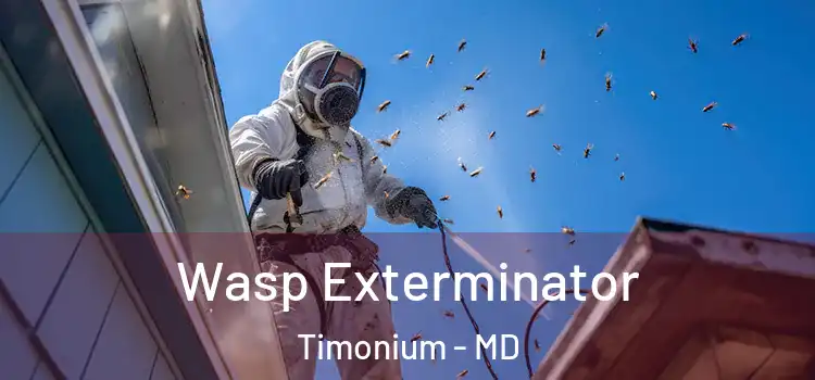 Wasp Exterminator Timonium - MD