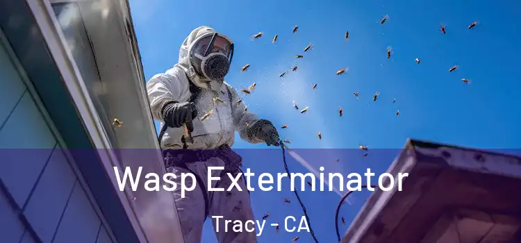  Wasp Exterminator Tracy - CA