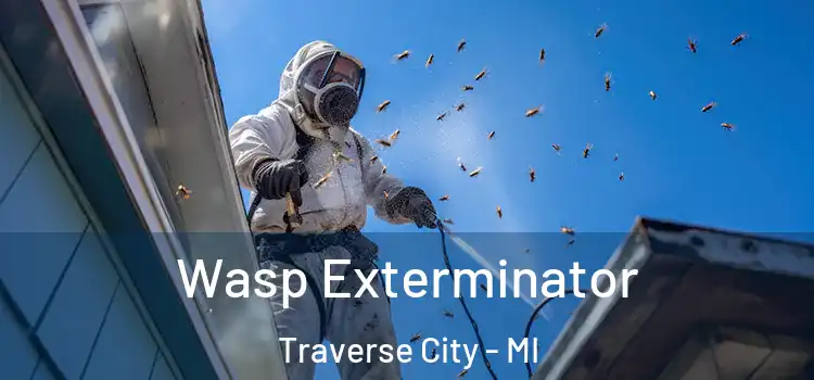  Wasp Exterminator Traverse City - MI