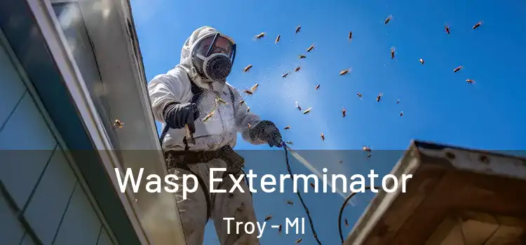  Wasp Exterminator Troy - MI