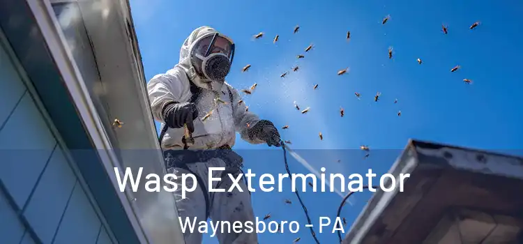  Wasp Exterminator Waynesboro - PA