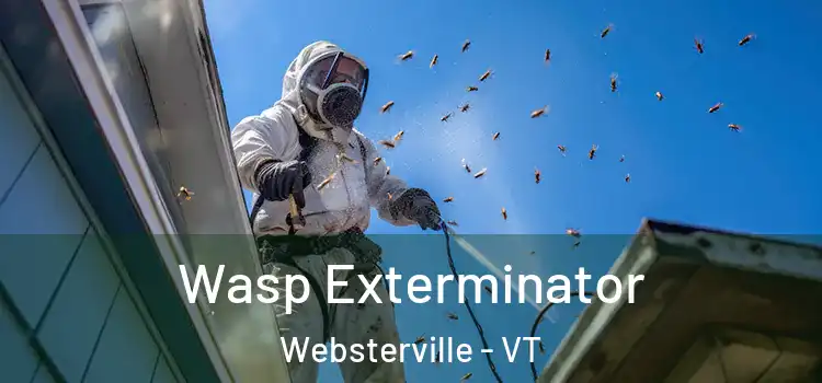  Wasp Exterminator Websterville - VT