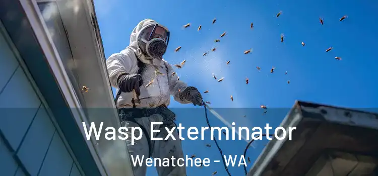  Wasp Exterminator Wenatchee - WA