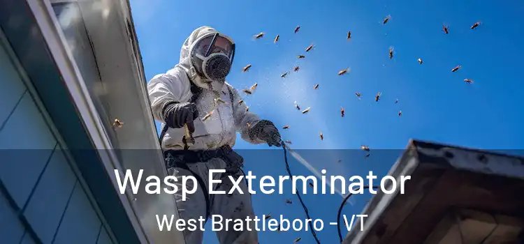  Wasp Exterminator West Brattleboro - VT
