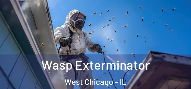  Wasp Exterminator West Chicago - IL
