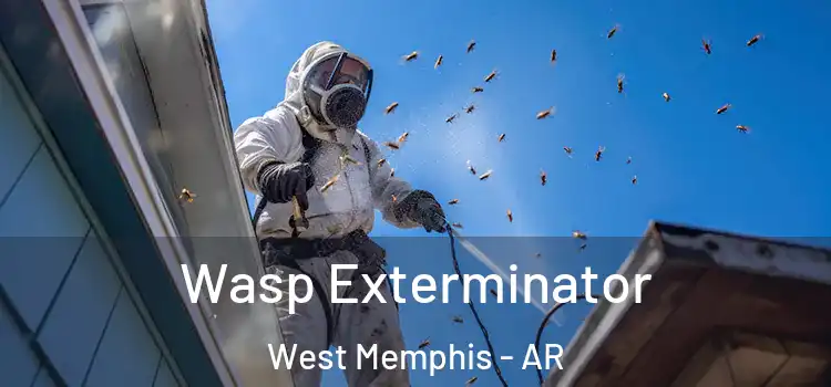  Wasp Exterminator West Memphis - AR