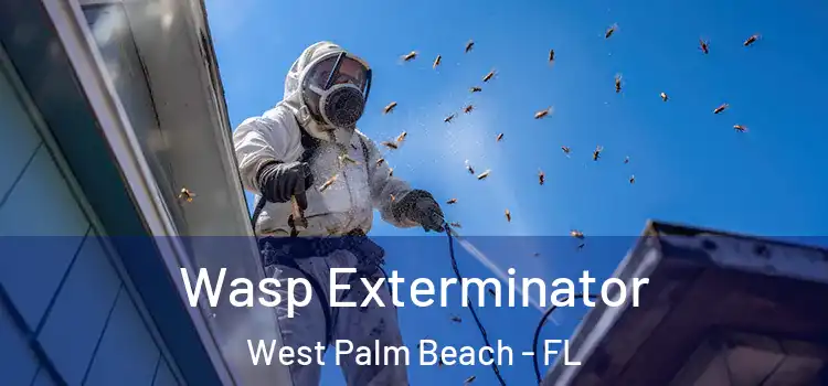 Wasp Exterminator West Palm Beach - FL