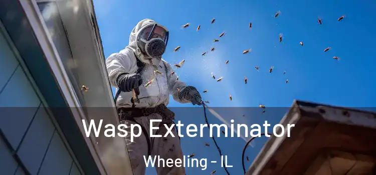  Wasp Exterminator Wheeling - IL