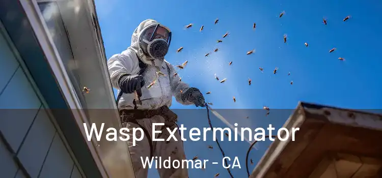  Wasp Exterminator Wildomar - CA