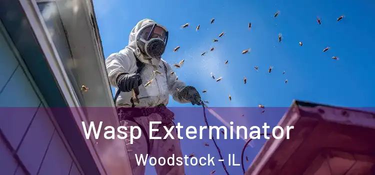  Wasp Exterminator Woodstock - IL